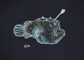 Anglerfish Print