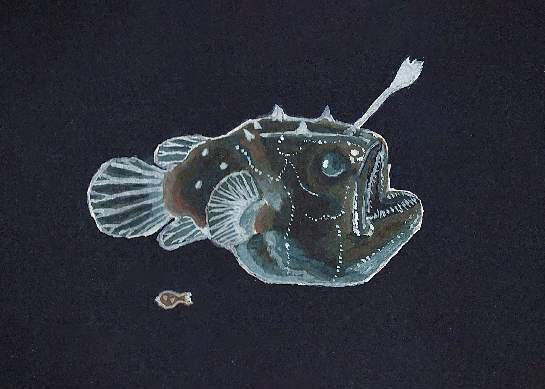 Anglerfish Print