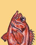 Redfish Print