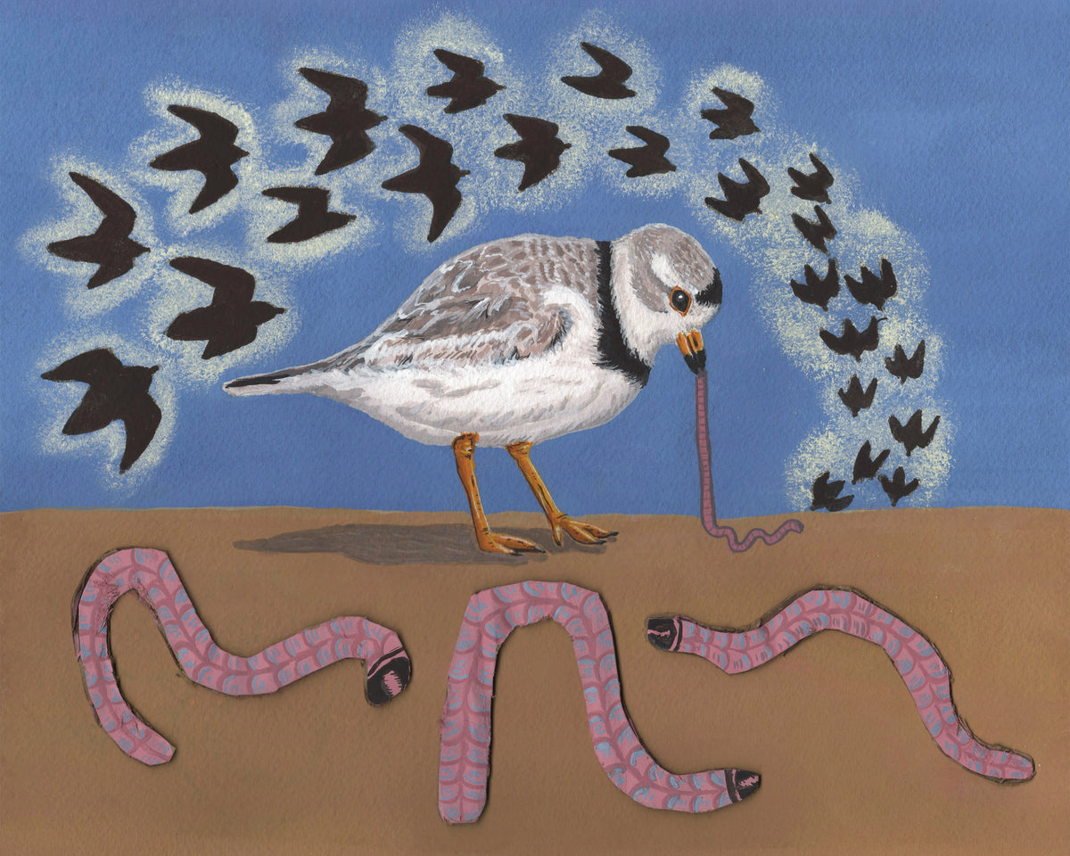 Plover Dinner Print