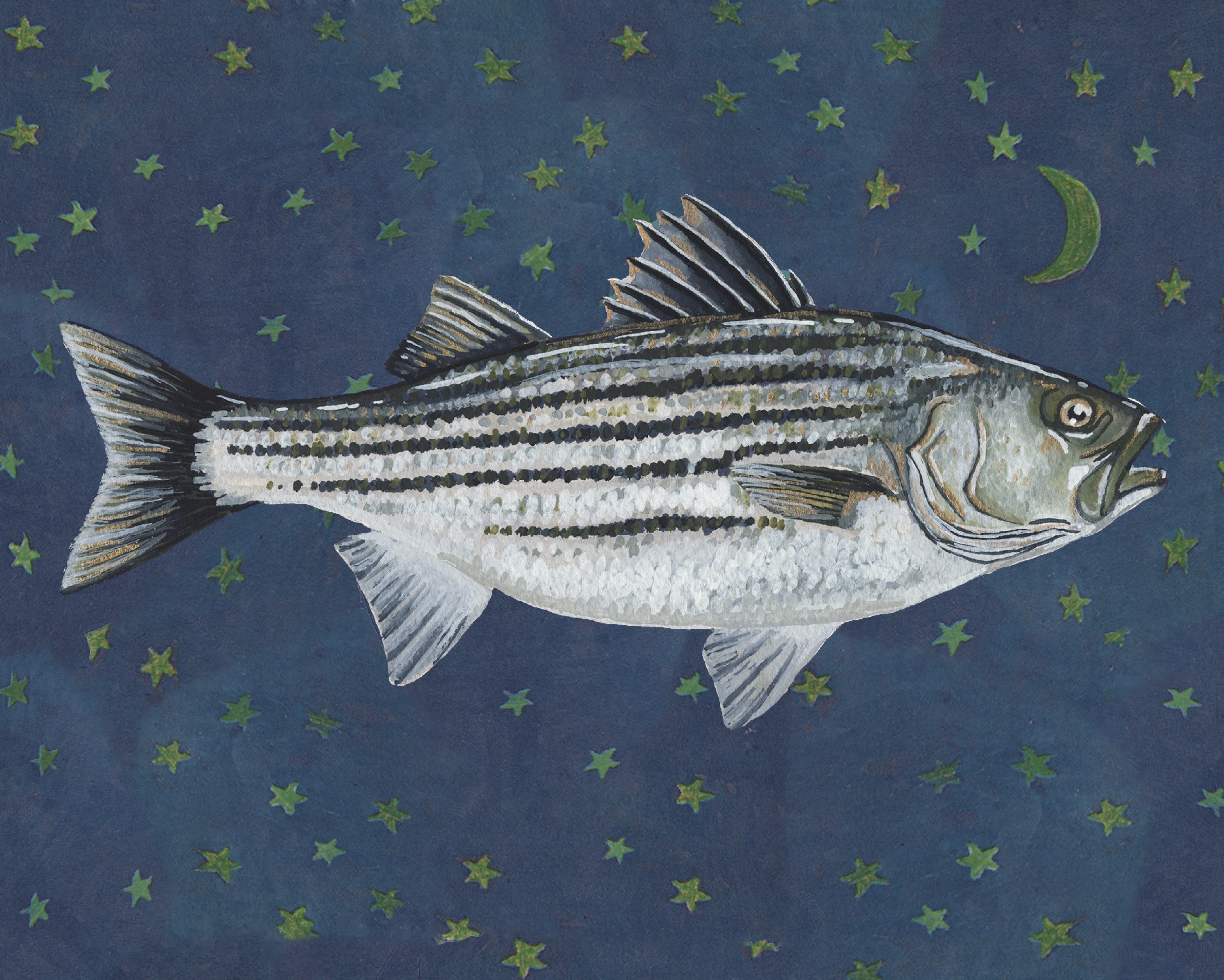 Starry Night Striper