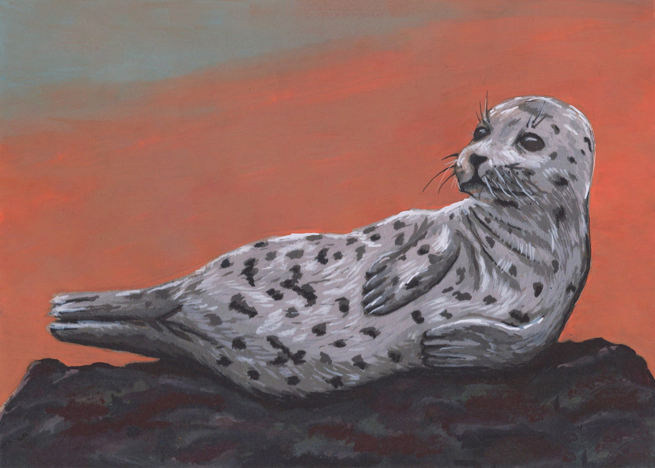 Harbor Seal Pup Print