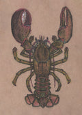 Lobster Print