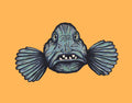 Wolffish Print