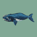 Right Whale Print